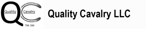 Logo TM SM - QC LLC